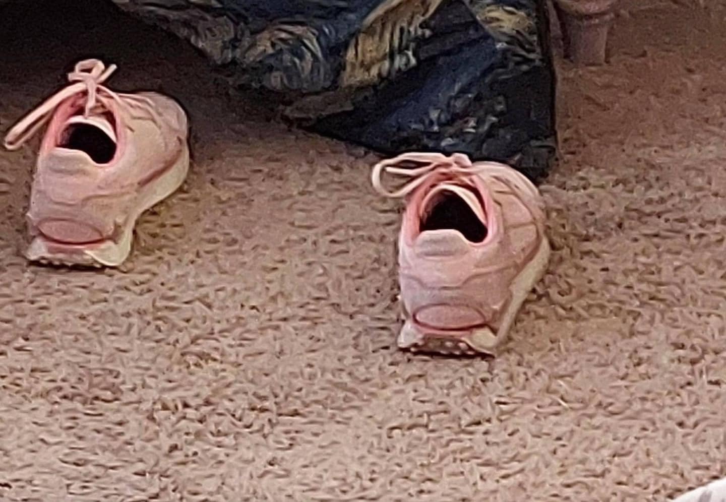 THE ORIGINAL SHOESS